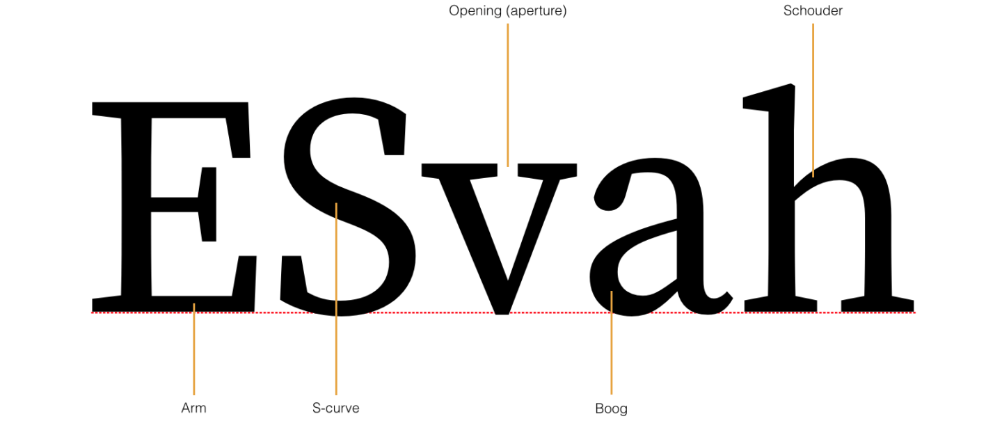 Typeface Anatomy