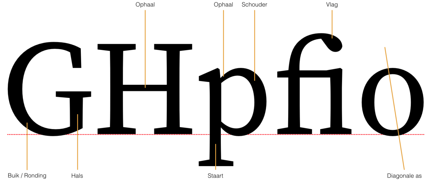 Typeface Anatomy