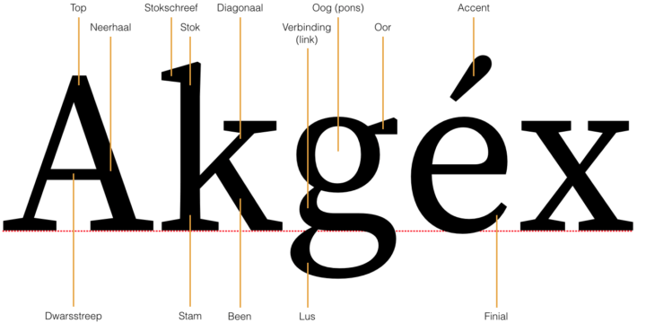 Typeface Anatomy